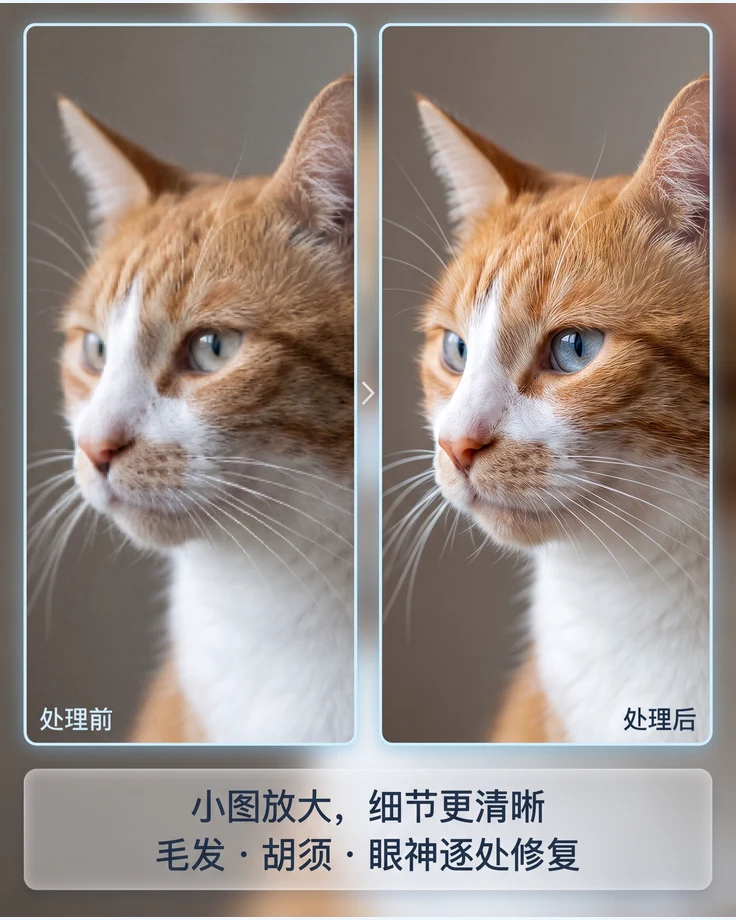 高清放大讲解图